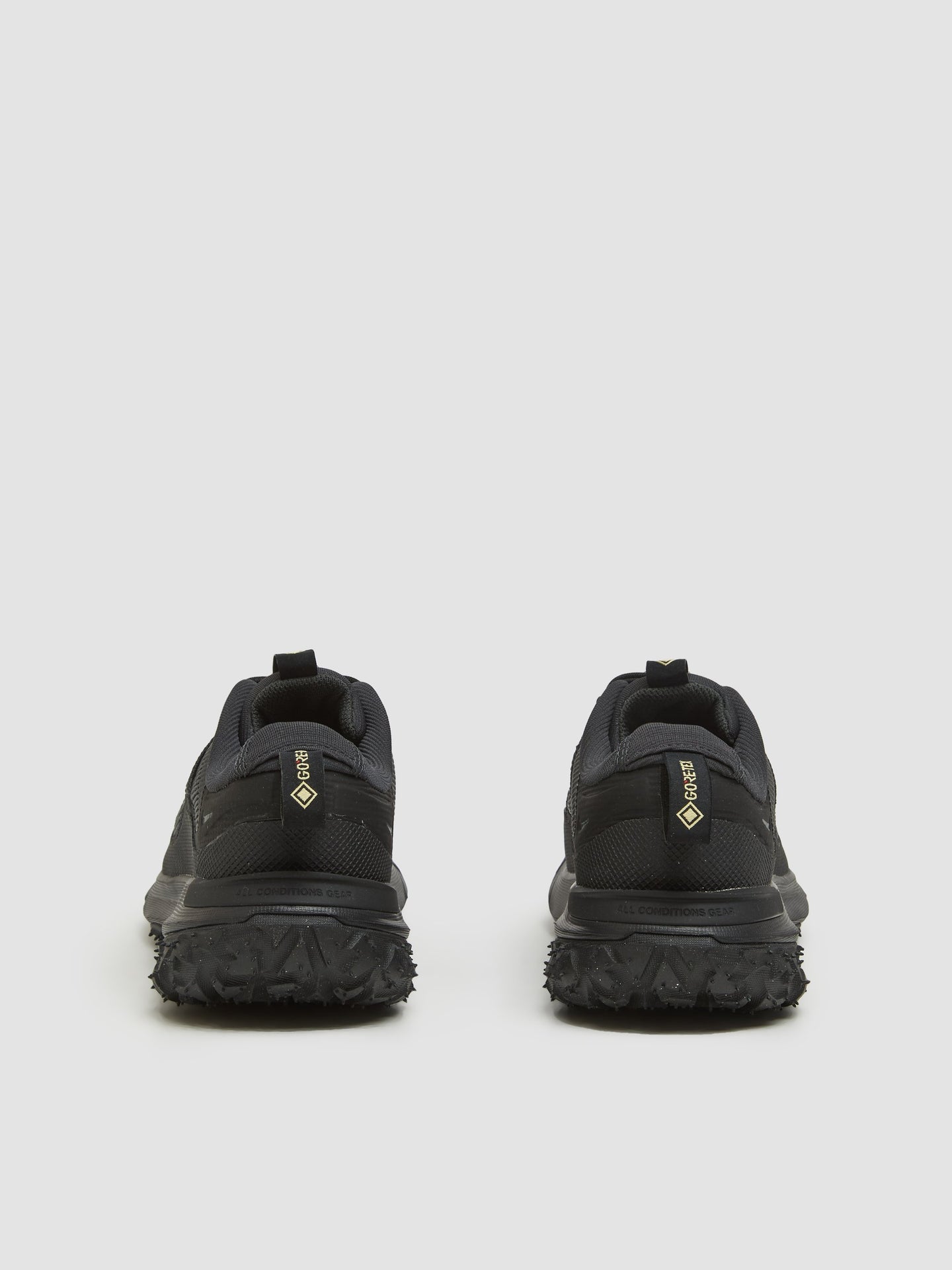 Mountain Fly 2 Low GORE-TEX Sneaker in Black