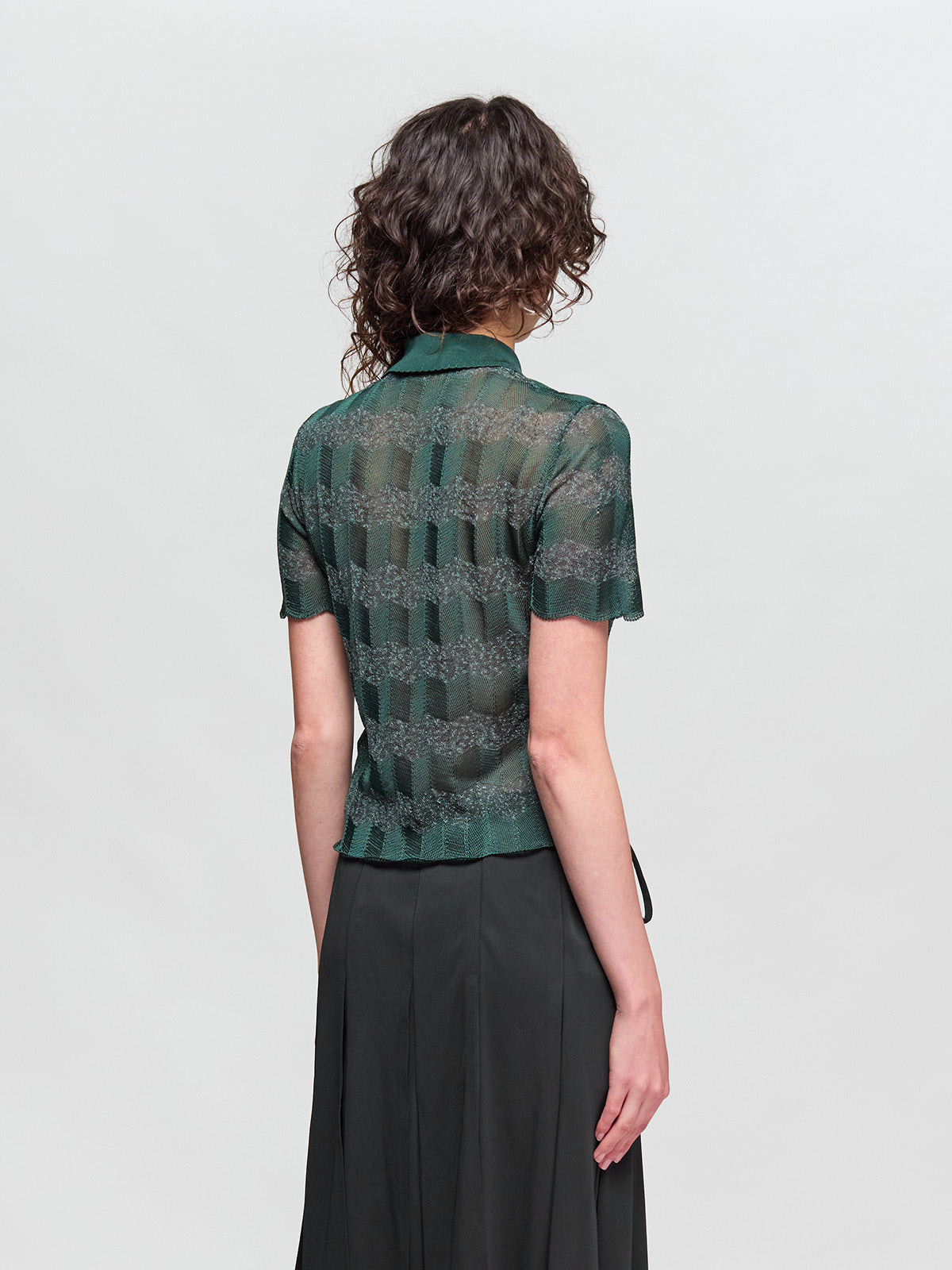 Sheer Shirt Collar Top in Sinople