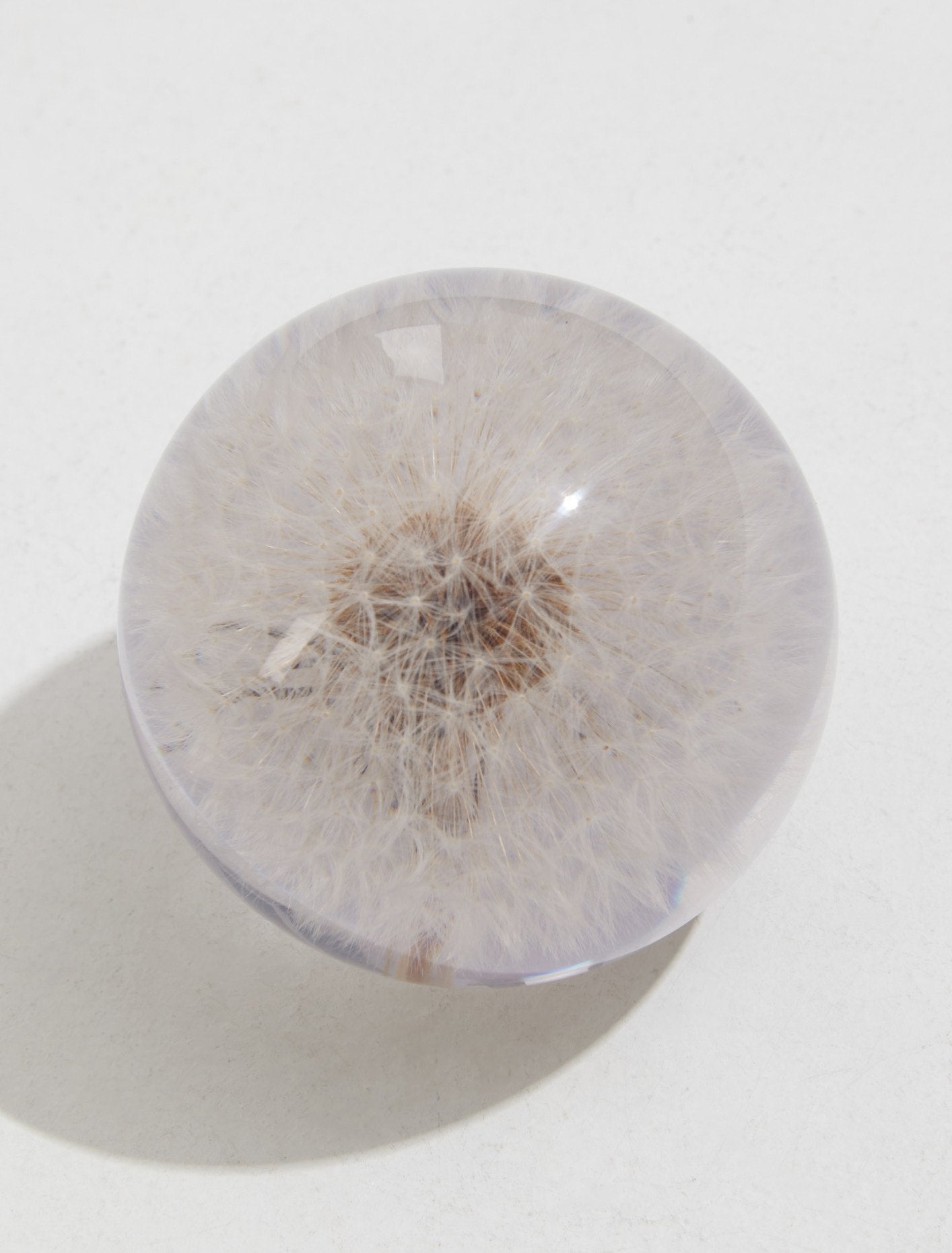 Small Dandelion Paperweight