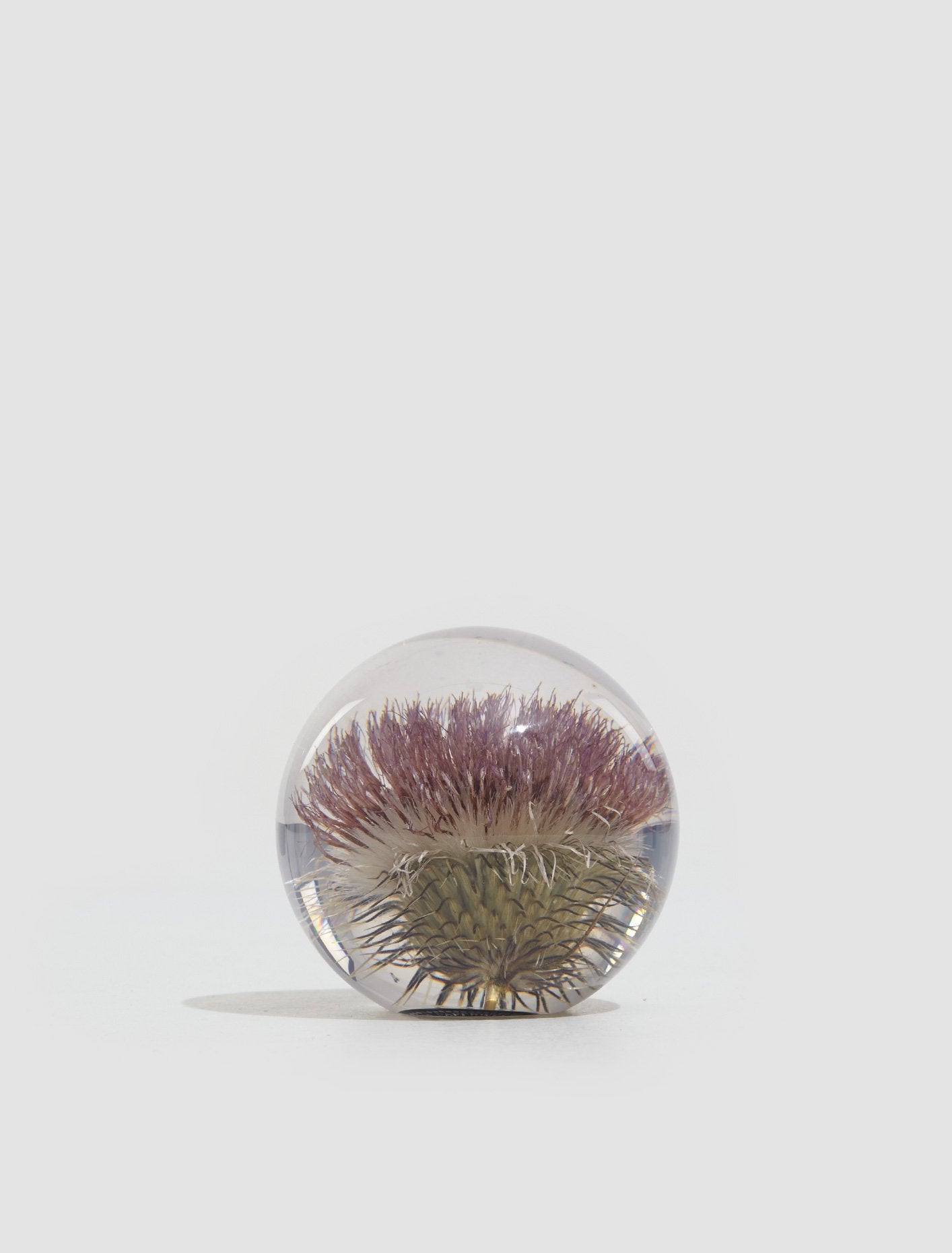 Small Open Thistle Paperweight