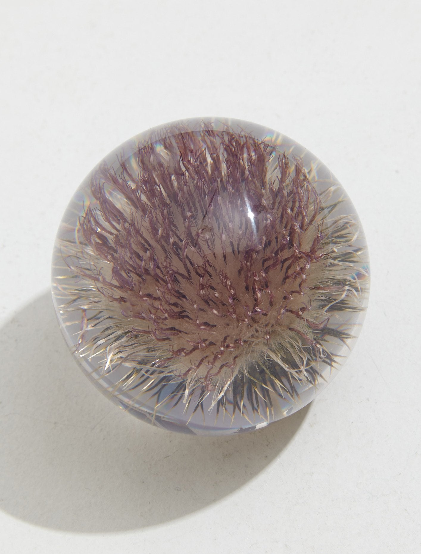 Small Open Thistle Paperweight