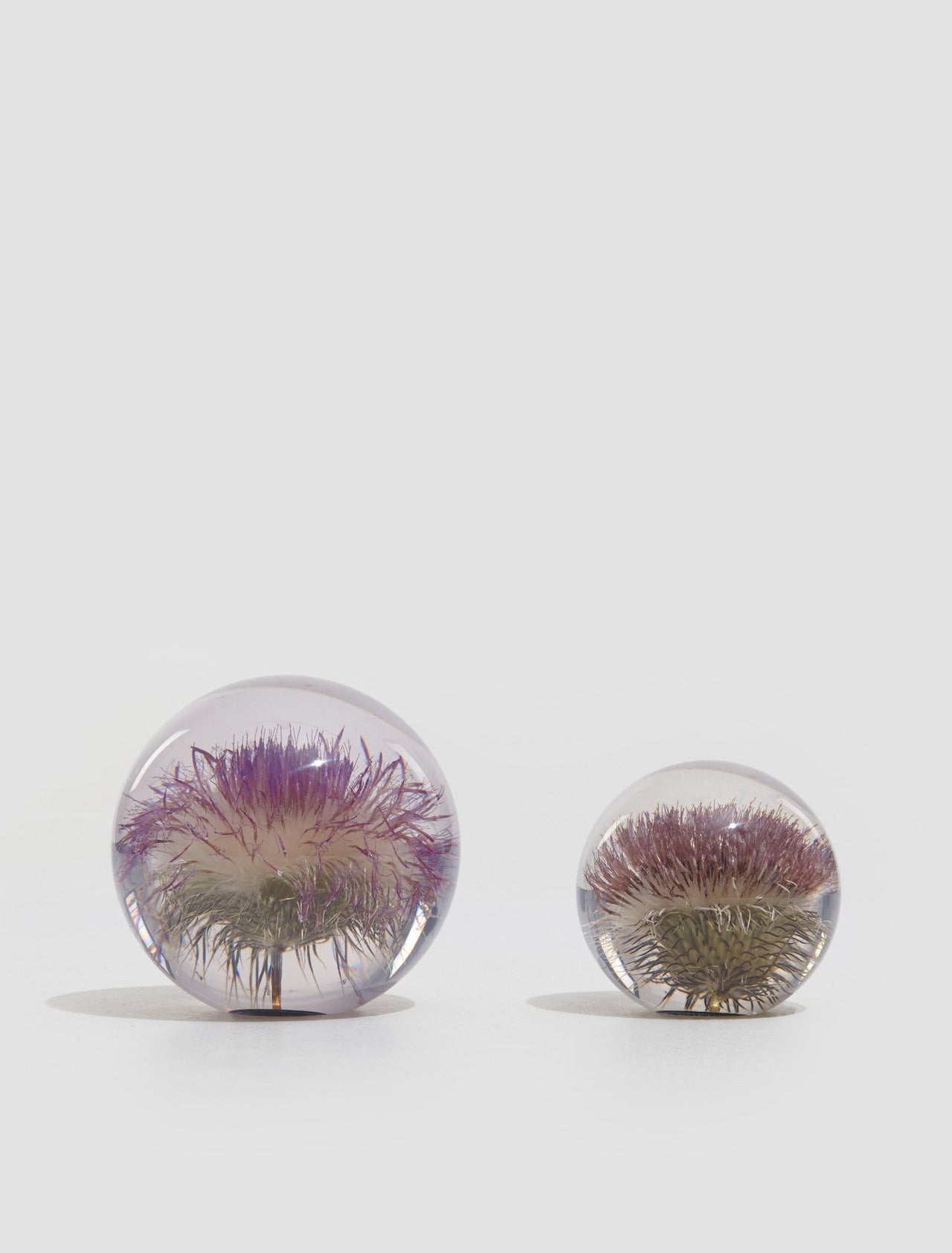 Small Open Thistle Paperweight