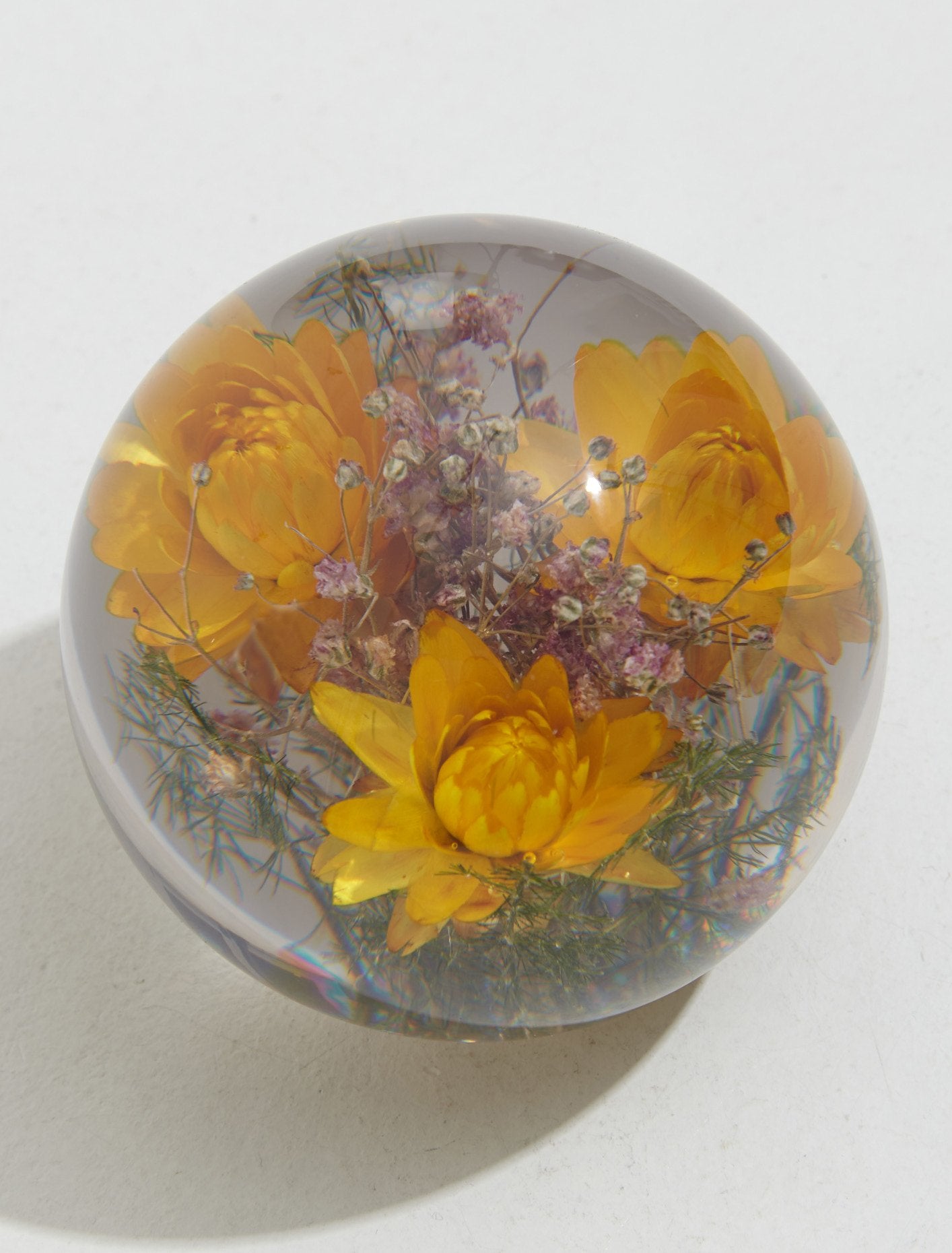 Large Yellow Helichrysum Paperweight