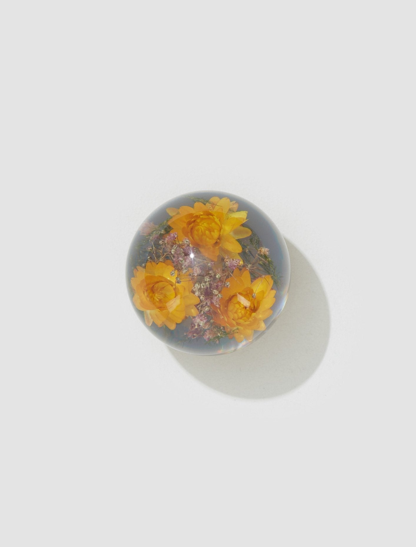 Large Yellow Helichrysum Paperweight