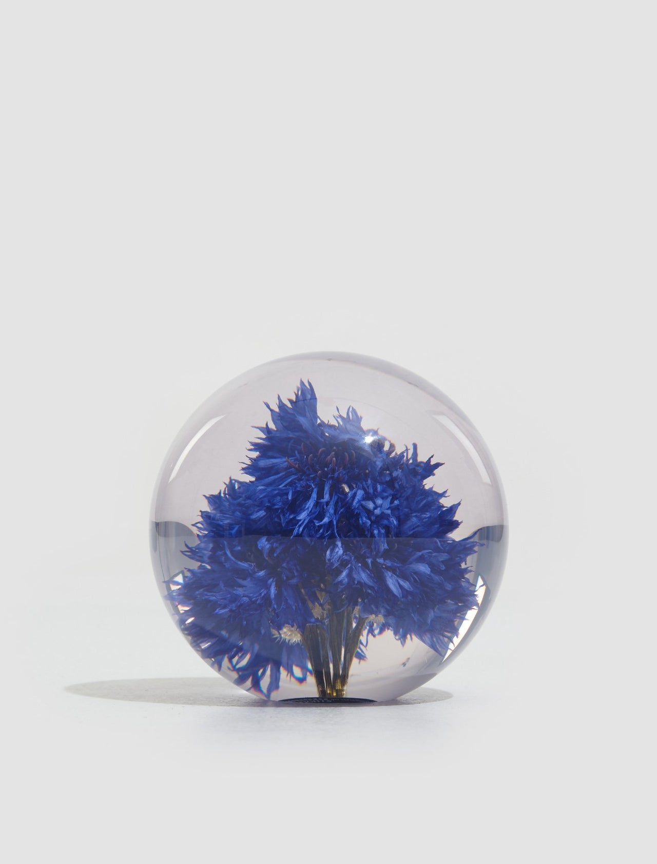 Large Cornflower Paperweight