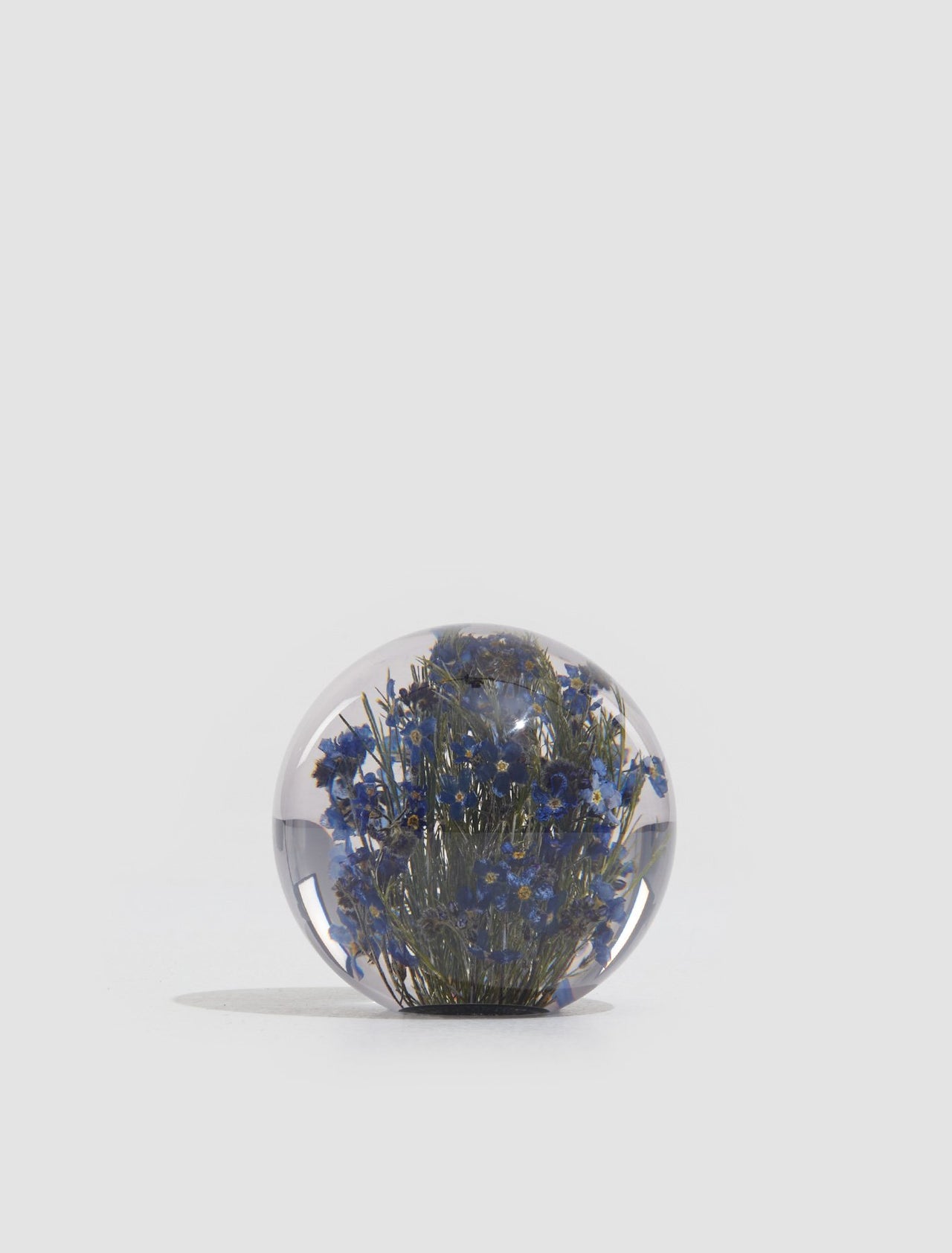 Small Forget-Me-Not Paperweight