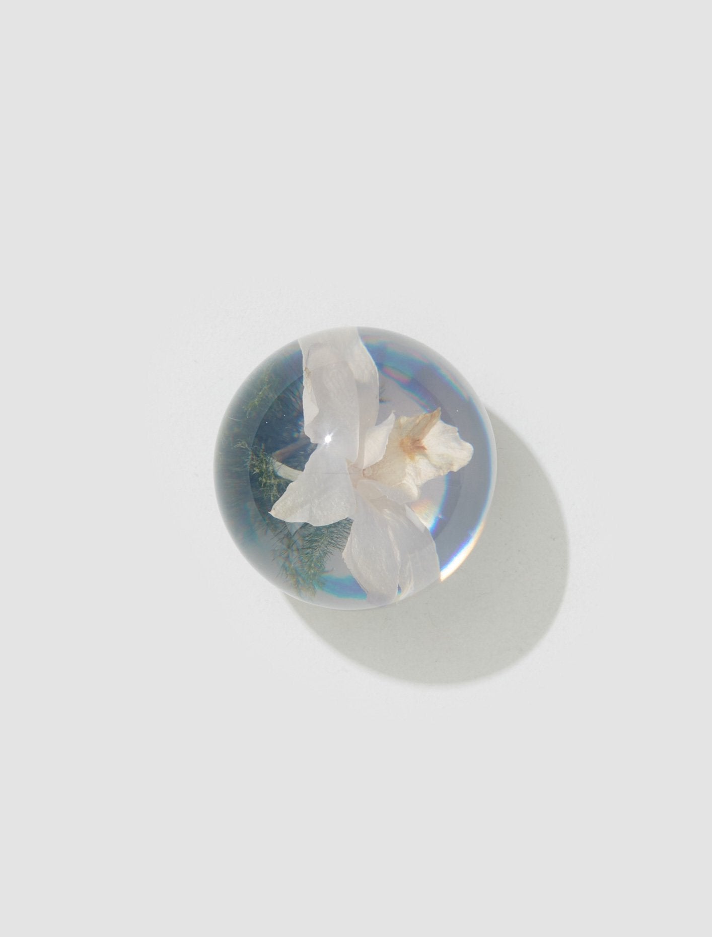 Large Orchid Light Paperweight