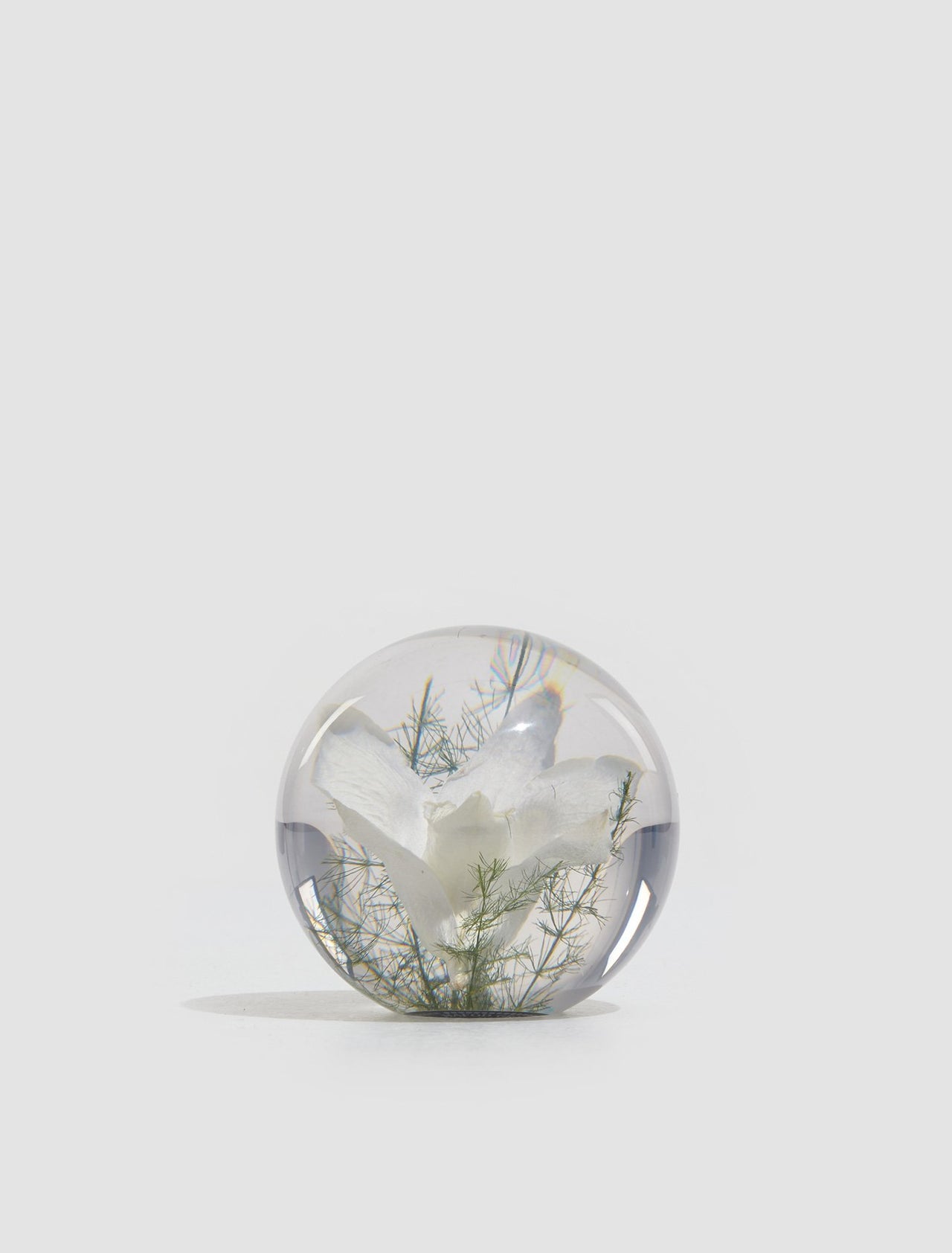 Small Orchid Light Paperweight