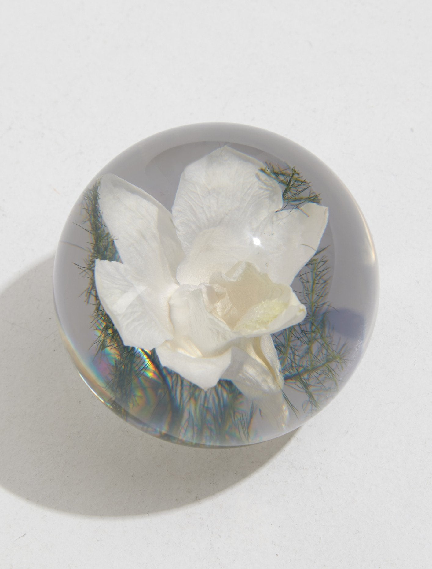 Small Orchid Light Paperweight