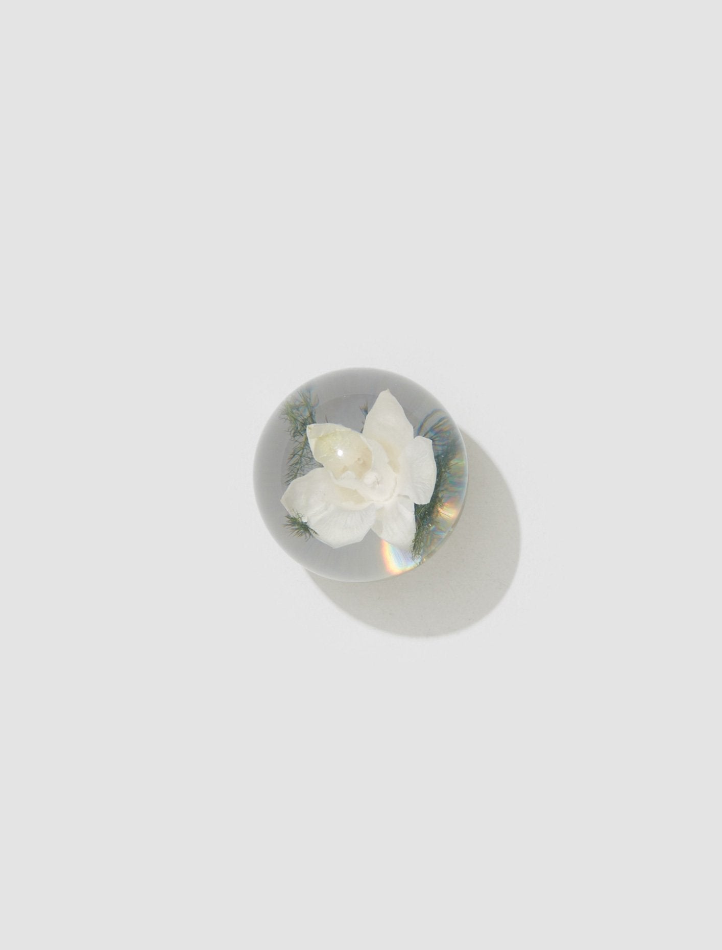 Small Orchid Light Paperweight