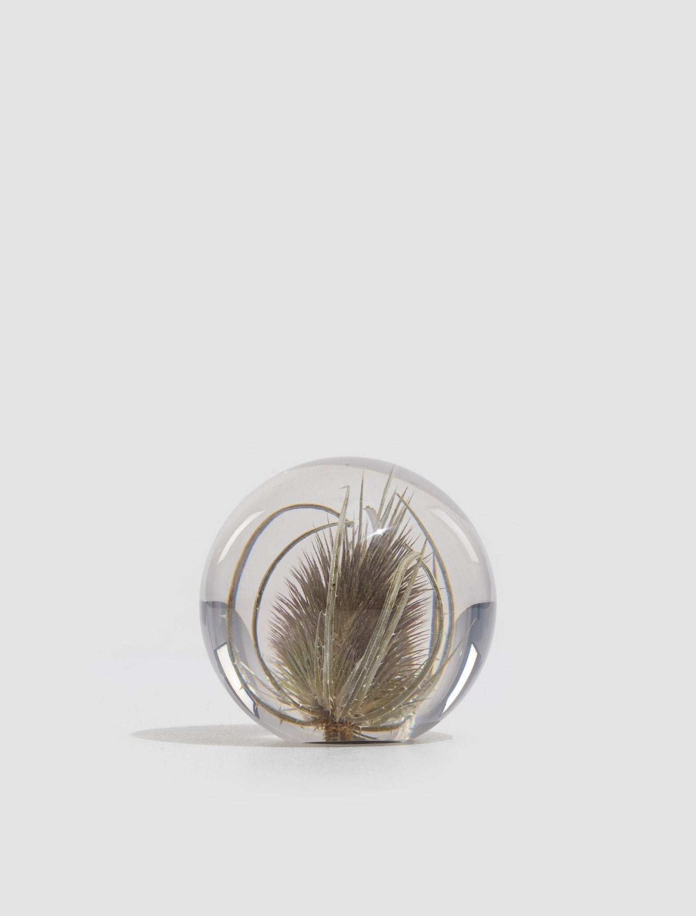 Hafod Grange - Small Teasel Paperweight – Voo Store
