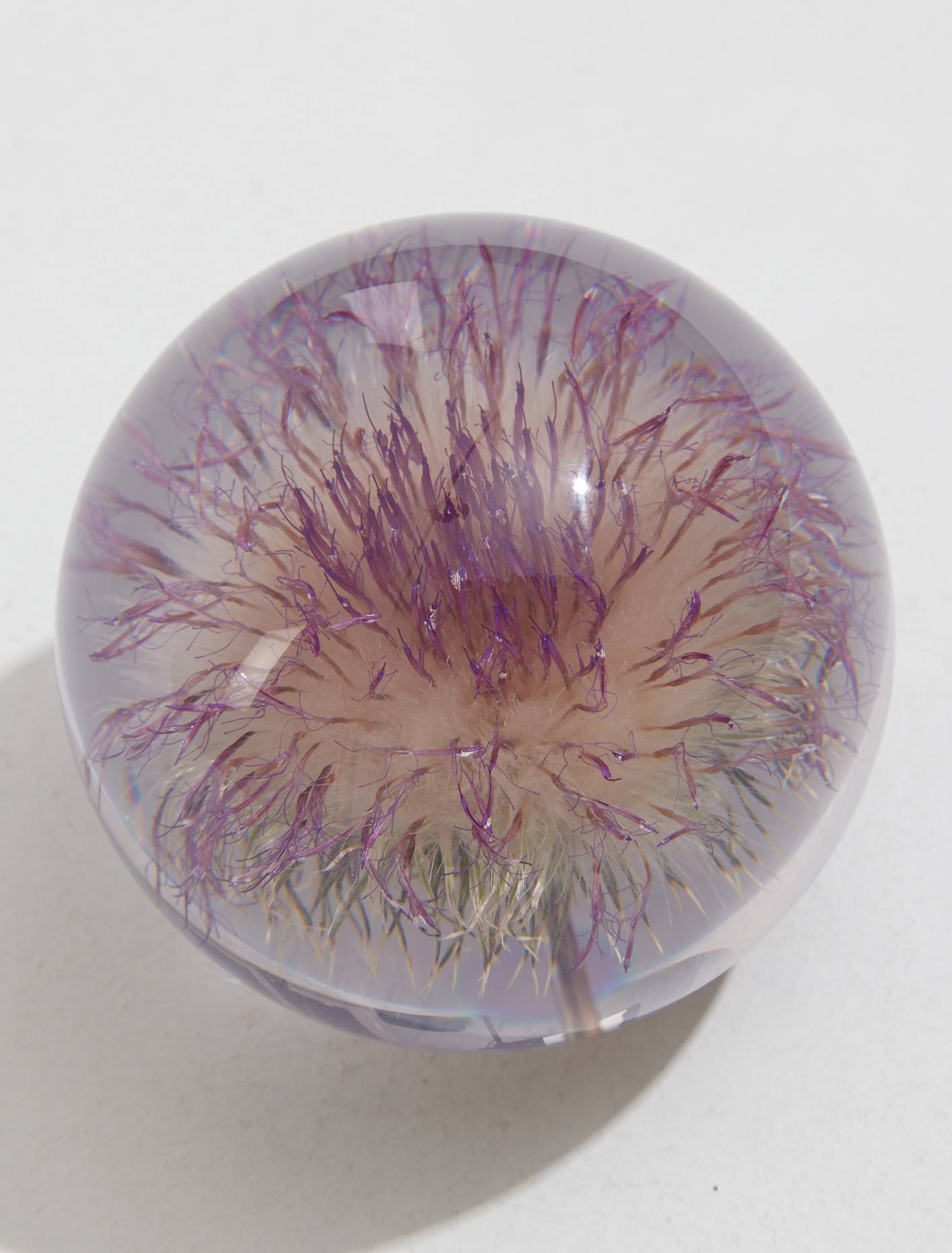 Large Open Thistle Paperweight