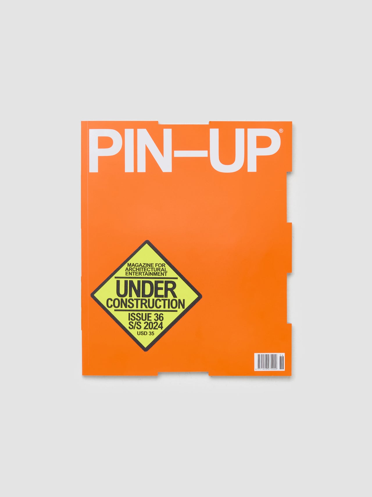 PIN-UP Issue 36