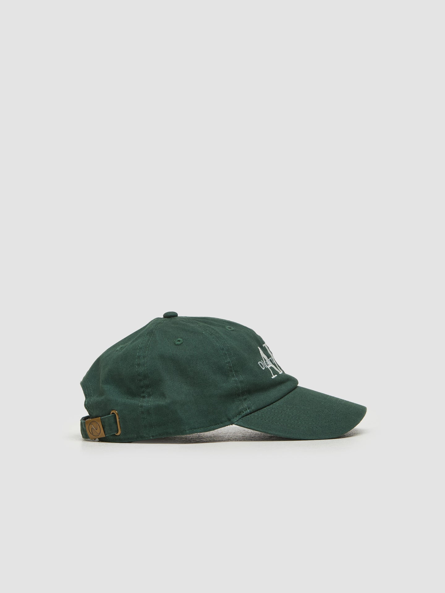 Apple Big Cap in Green