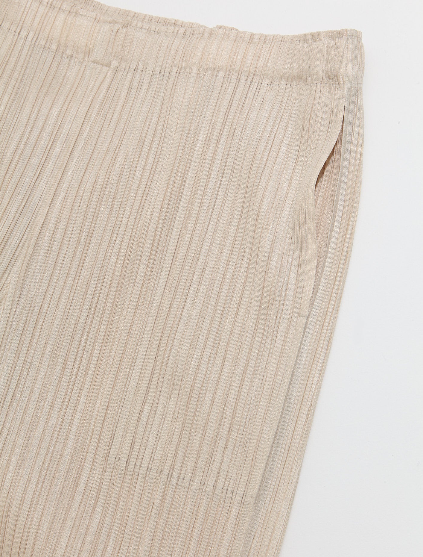 Pleated Straight Pants in Beige