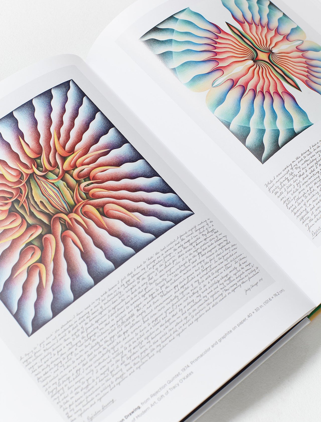 Judy Chicago: In the Making