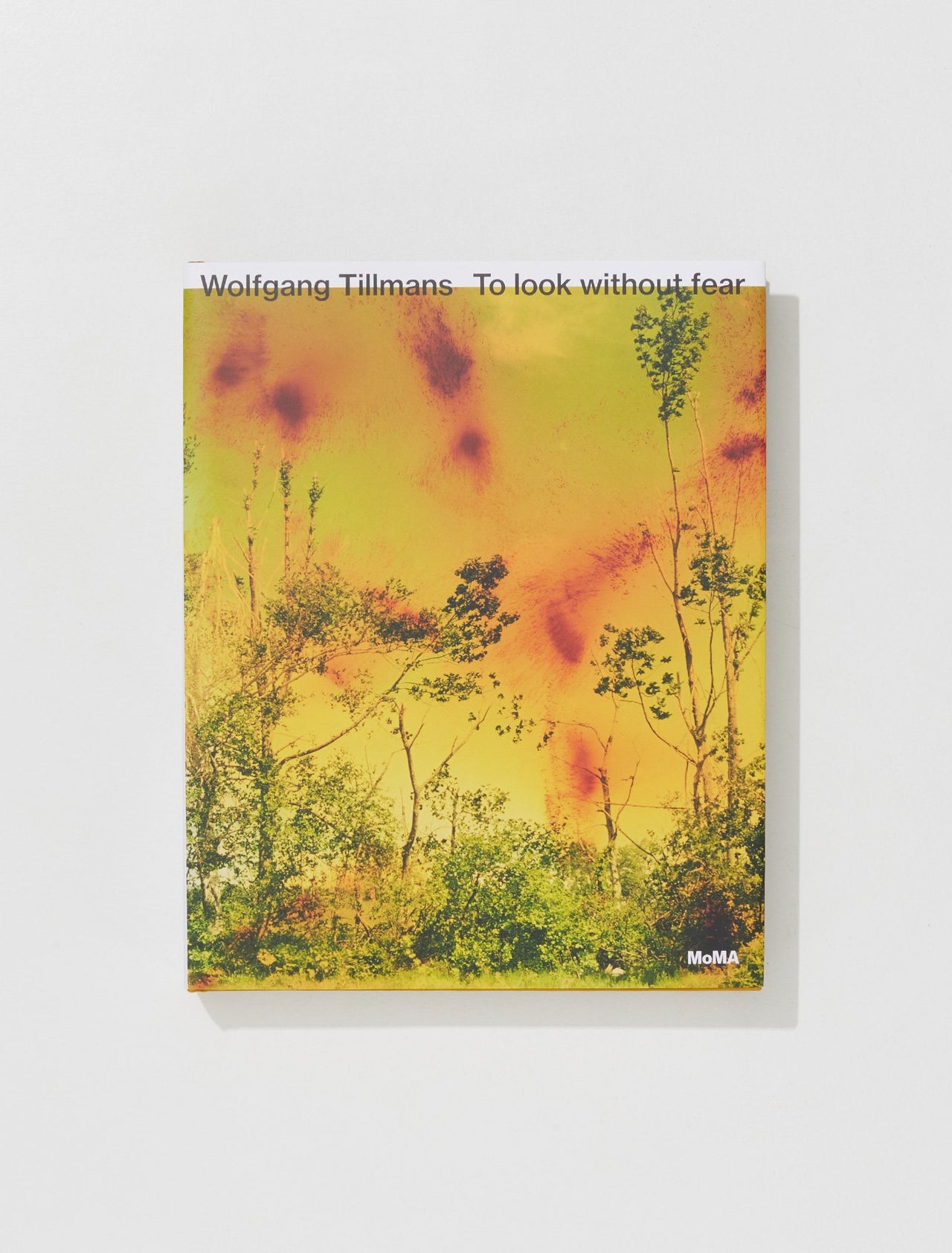 Wolfgang Tillmans: To Look Without Fear