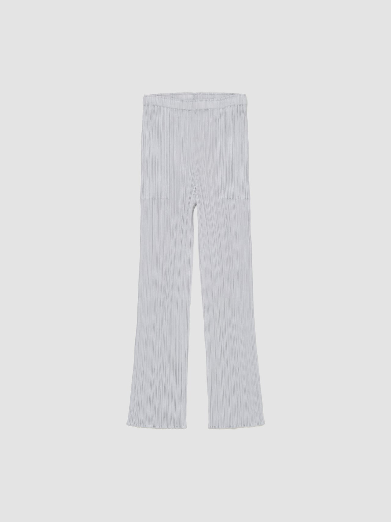 Basic Pleated Pants in Grey